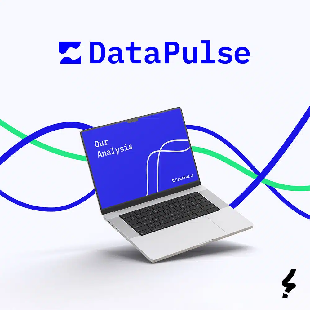 identité visuelle logo Datapulse agence branding